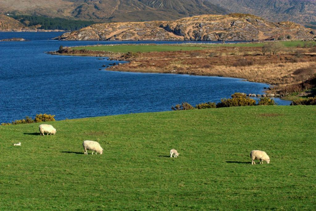 Lakelands Farm House Hotel Waterville Kültér fotó